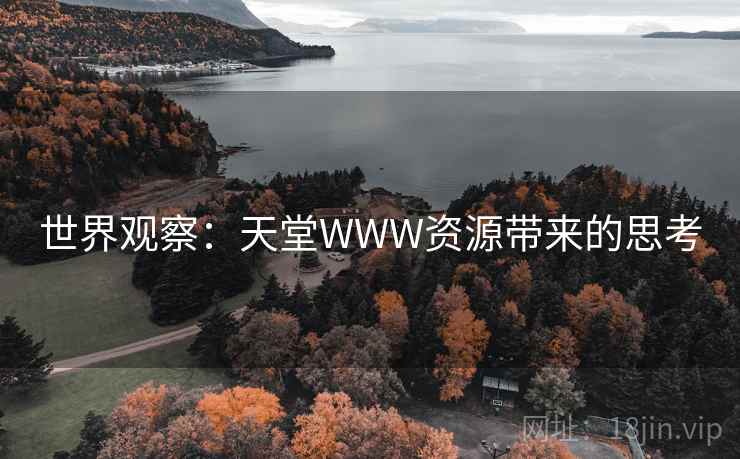 世界观察：天堂WWW资源带来的思考  第2张