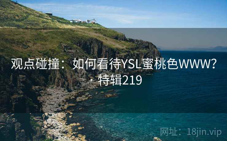 观点碰撞：如何看待YSL蜜桃色WWW？ · 特辑219