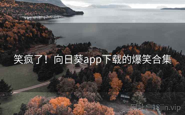 笑疯了！向日葵app下载的爆笑合集