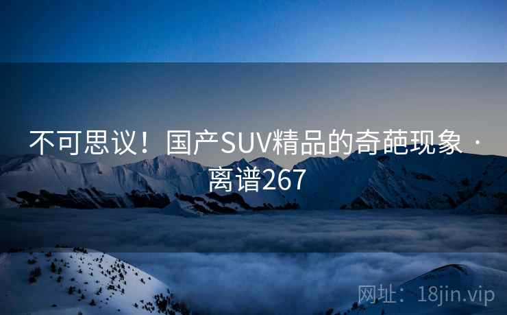 不可思议！国产SUV精品的奇葩现象 · 离谱267  第2张